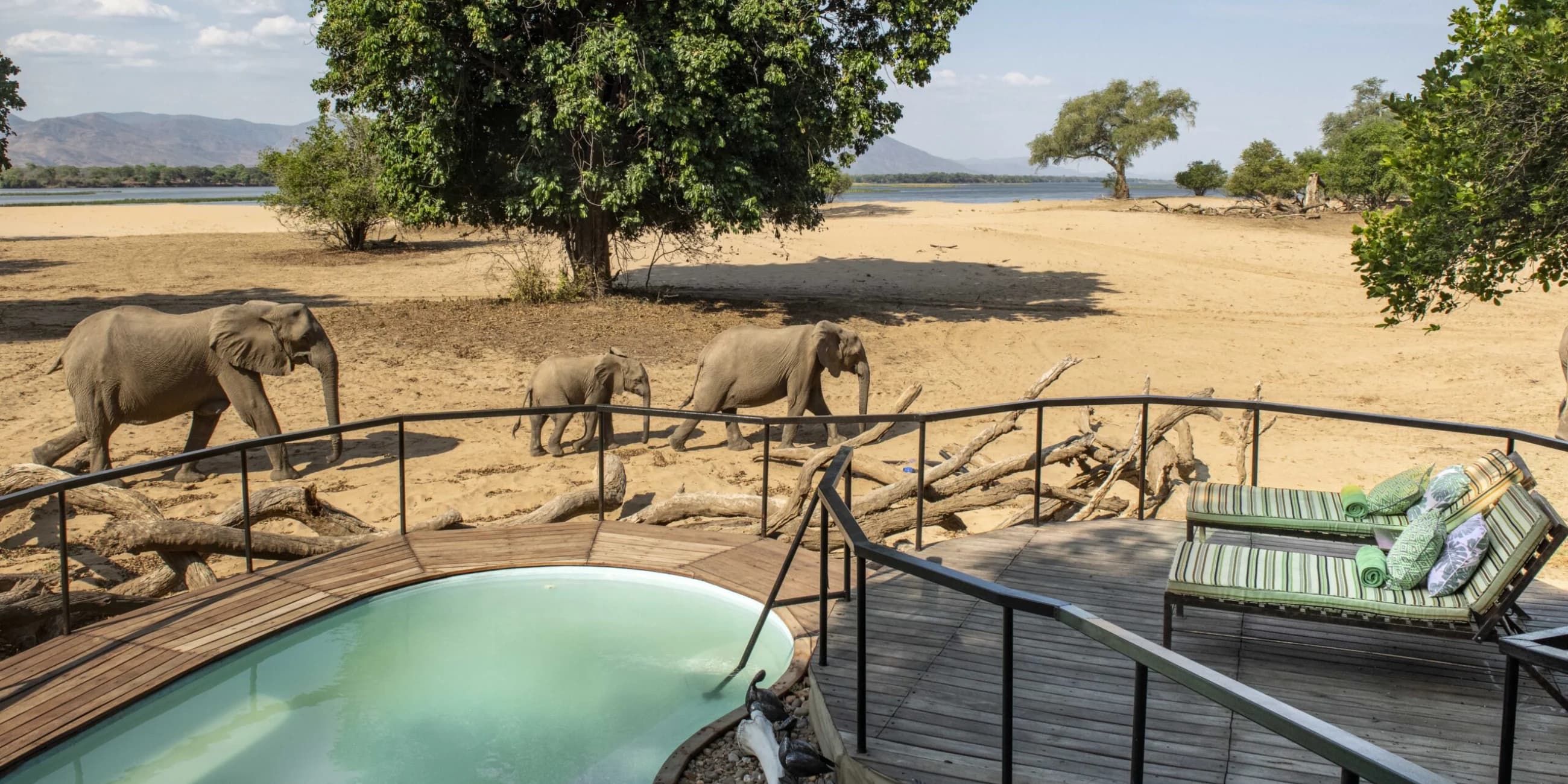 5-Day Fly-In Mana Pools Safari
