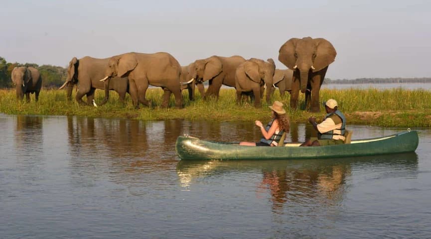 Canoeing The Lower Zambezi