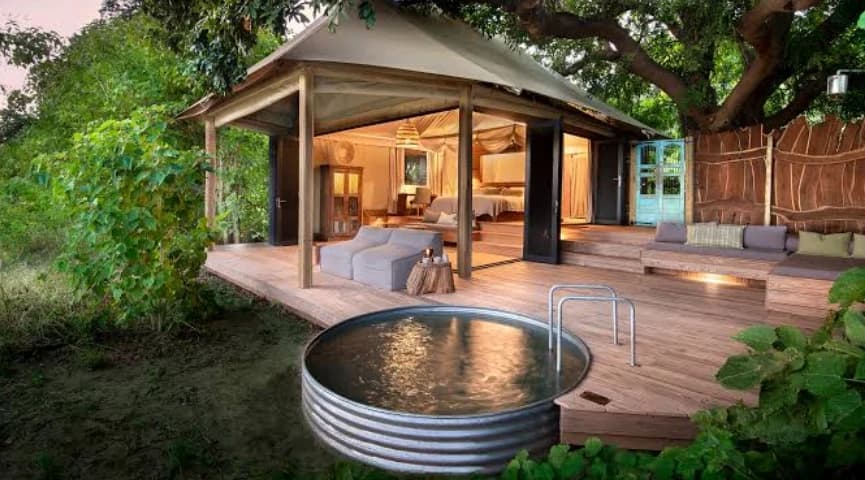 Four Nights At Nyamatusi