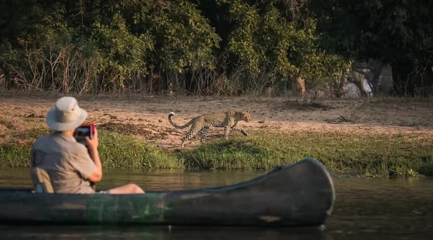 Canoe Safari On Lower Zambezi
