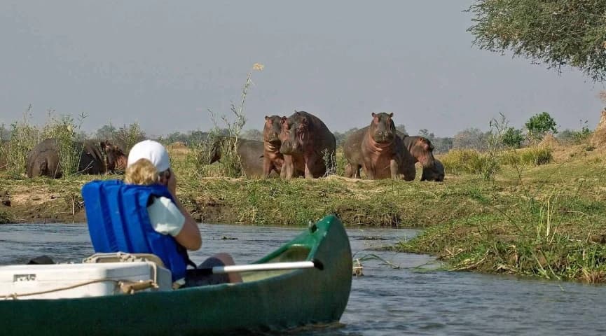 Lower Zambezi Canoe Safari
