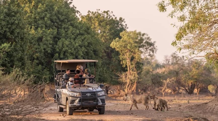 Guided Walking In Mana Pools