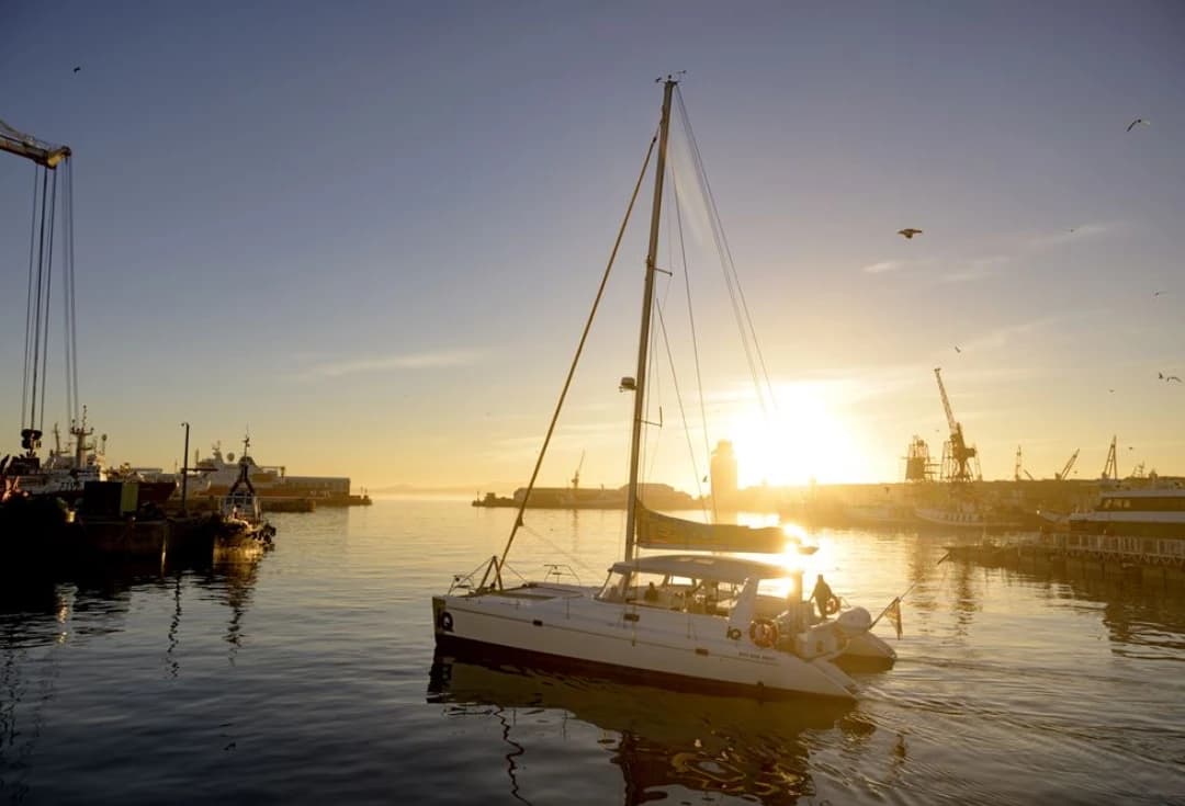 Sunset Sailing from Cape Town Waterfront