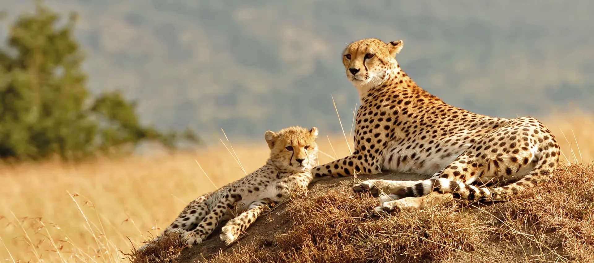 Kenya Destinations